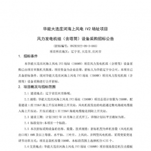 单机≥8MW！华能200MW海上风电项目启动招标！