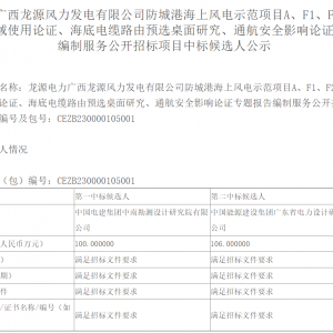 中国电建中南院拟中标海上风电项目